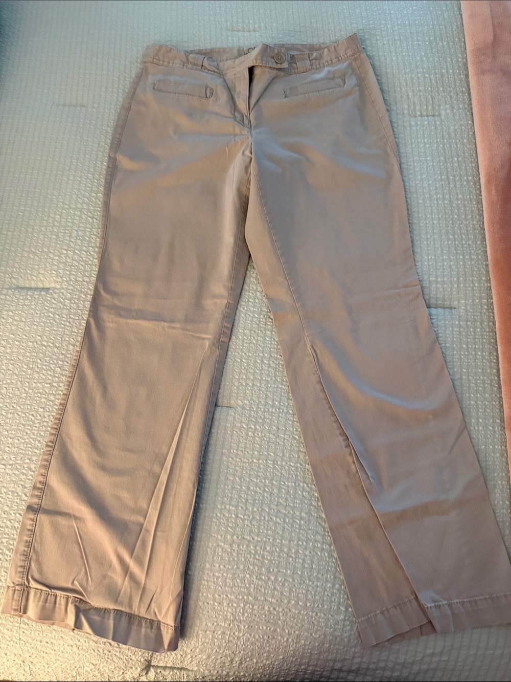LOFT Wide Leg Pants in Light Taupe
